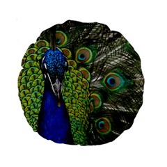 Peacock Close Up Plumage Bird Head Standard 15  Premium Round Cushions by Wegoenart