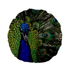 Peacock Close Up Plumage Bird Head Standard 15  Premium Flano Round Cushions by Wegoenart