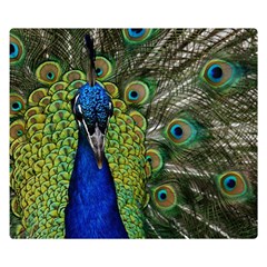 Peacock Close Up Plumage Bird Head Double Sided Flano Blanket (small)  by Wegoenart