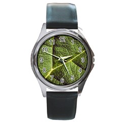 Green Leaf Giant Rhubarb Mammoth Sheet Round Metal Watch by Wegoenart