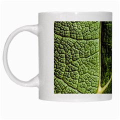 Green Leaf Giant Rhubarb Mammoth Sheet White Mugs by Wegoenart