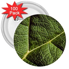 Green Leaf Giant Rhubarb Mammoth Sheet 3  Buttons (100 Pack)  by Wegoenart