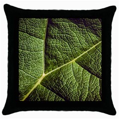 Green Leaf Giant Rhubarb Mammoth Sheet Throw Pillow Case (black) by Wegoenart