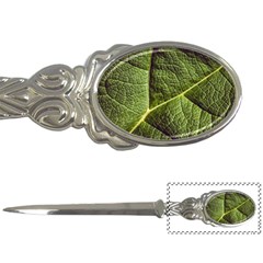 Green Leaf Giant Rhubarb Mammoth Sheet Letter Opener by Wegoenart