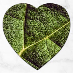 Green Leaf Giant Rhubarb Mammoth Sheet Jigsaw Puzzle (heart)