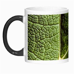 Green Leaf Giant Rhubarb Mammoth Sheet Morph Mugs by Wegoenart