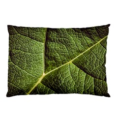 Green Leaf Giant Rhubarb Mammoth Sheet Pillow Case by Wegoenart