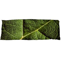 Green Leaf Giant Rhubarb Mammoth Sheet Body Pillow Case Dakimakura (two Sides) by Wegoenart