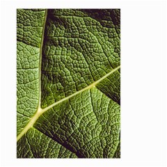 Green Leaf Giant Rhubarb Mammoth Sheet Small Garden Flag (two Sides) by Wegoenart