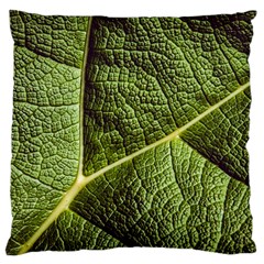 Green Leaf Giant Rhubarb Mammoth Sheet Large Cushion Case (two Sides) by Wegoenart