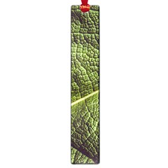 Green Leaf Giant Rhubarb Mammoth Sheet Large Book Marks by Wegoenart