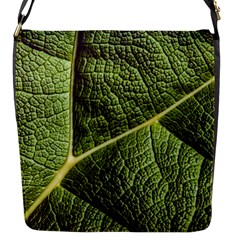 Green Leaf Giant Rhubarb Mammoth Sheet Flap Closure Messenger Bag (s) by Wegoenart