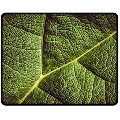 Green Leaf Giant Rhubarb Mammoth Sheet Double Sided Fleece Blanket (medium)  by Wegoenart