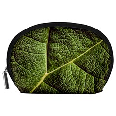 Green Leaf Giant Rhubarb Mammoth Sheet Accessory Pouch (large) by Wegoenart