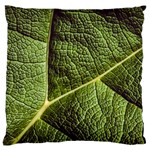 Green Leaf Giant Rhubarb Mammoth Sheet Large Flano Cushion Case (Two Sides) Back