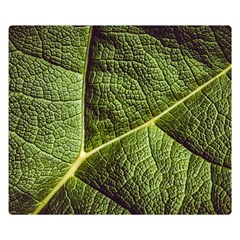 Green Leaf Giant Rhubarb Mammoth Sheet Double Sided Flano Blanket (small)  by Wegoenart