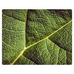 Green Leaf Giant Rhubarb Mammoth Sheet Double Sided Flano Blanket (medium)  by Wegoenart