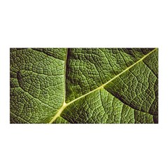 Green Leaf Giant Rhubarb Mammoth Sheet Satin Wrap by Wegoenart