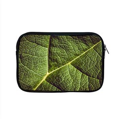 Green Leaf Giant Rhubarb Mammoth Sheet Apple Macbook Pro 15  Zipper Case by Wegoenart