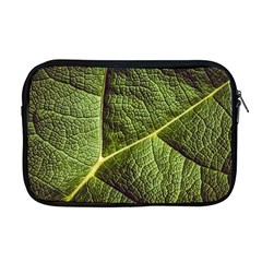 Green Leaf Giant Rhubarb Mammoth Sheet Apple Macbook Pro 17  Zipper Case by Wegoenart