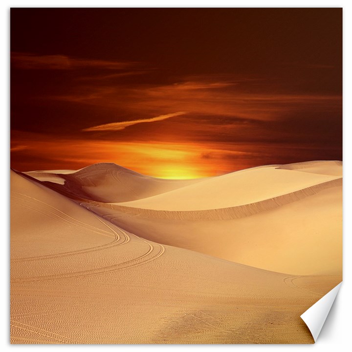 Desert Sun Landscape Sunset Dune Canvas 16  x 16 