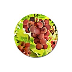 Grape Harvest Nature Figure Rustic Magnet 3  (round) by Wegoenart