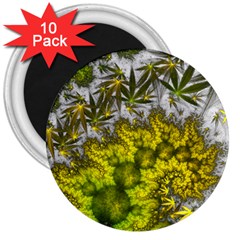 Fractal Mobius Dragon Marijuana 3  Magnets (10 pack) 