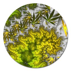 Fractal Mobius Dragon Marijuana Magnet 5  (Round)