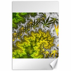 Fractal Mobius Dragon Marijuana Canvas 20  x 30 