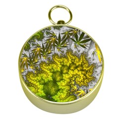 Fractal Mobius Dragon Marijuana Gold Compasses