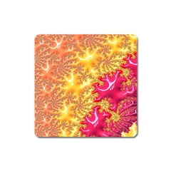 Fractal Math Mathematics Science Square Magnet by Wegoenart