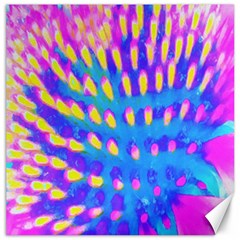 Pink, Blue And Yellow Abstract Coneflower Canvas 12  X 12  by myrubiogarden