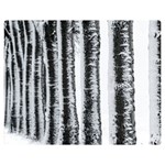 Mother Nature s Birch  Double Sided Flano Blanket (Medium)  60 x50  Blanket Front