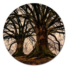 Ent Treant Trees Tree Bark Barks Magnet 5  (round) by Pakrebo