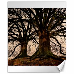 Ent Treant Trees Tree Bark Barks Canvas 16  X 20  by Pakrebo