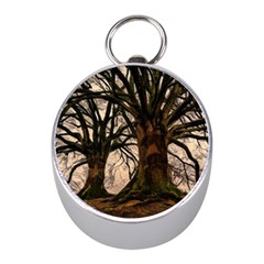 Ent Treant Trees Tree Bark Barks Mini Silver Compasses by Pakrebo