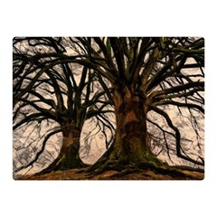 Ent Treant Trees Tree Bark Barks Double Sided Flano Blanket (mini) 