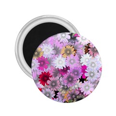 Flower Flowers Carta Da Parati 2 25  Magnets by Pakrebo