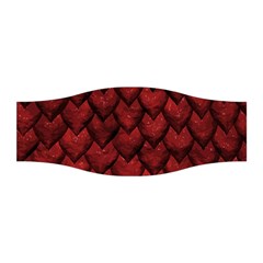 Redreptile Stretchable Headband