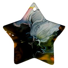 Art Abstract Painting Ornament (star)