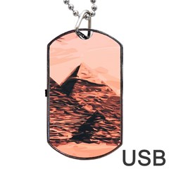 Pyramid Egypt Monumental Dog Tag Usb Flash (two Sides) by Pakrebo