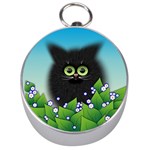 Kitten Black Furry Illustration Silver Compasses Front