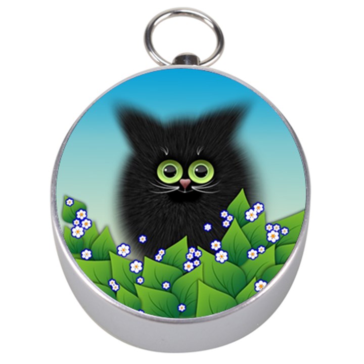 Kitten Black Furry Illustration Silver Compasses