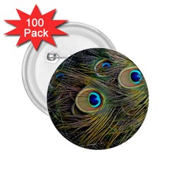 Peacock Tail Feathers Close Up 2 25  Buttons (100 Pack)  by Pakrebo