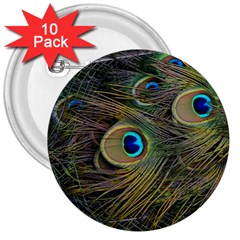 Peacock Tail Feathers Close Up 3  Buttons (10 Pack)  by Pakrebo