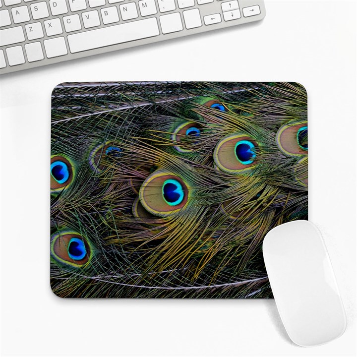 Peacock Tail Feathers Close Up Large Mousepads