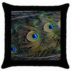 Peacock Tail Feathers Close Up Throw Pillow Case (black) by Pakrebo