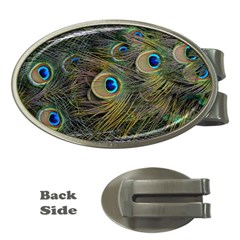 Peacock Tail Feathers Close Up Money Clips (oval)  by Pakrebo