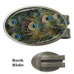 Peacock Tail Feathers Close Up Money Clips (Oval)  Front