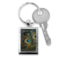 Peacock Tail Feathers Close Up Key Chains (rectangle)  by Pakrebo